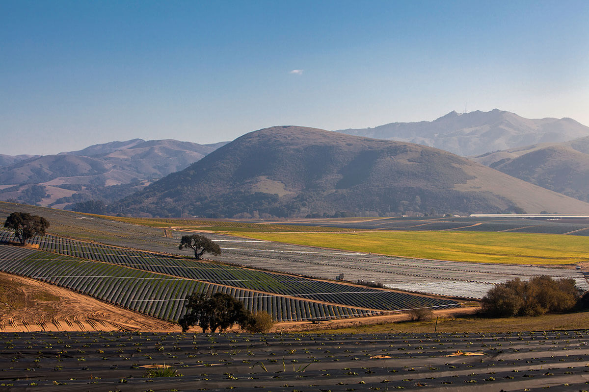 Where Strawberries are Grown - California Strawberry Commission