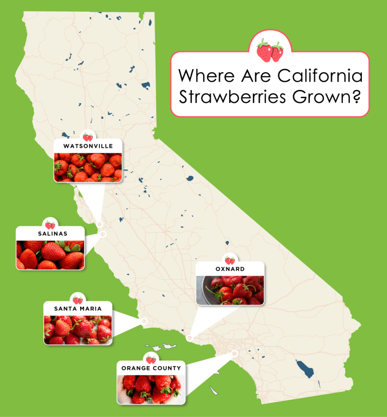 Where Strawberries are Grown - California Strawberry Commission